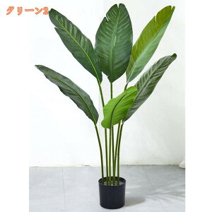 1000~OFFN[| tFCNO[ lHϗtA  ^ Xg`AEMl Ɋy A  CeA A  b炸 sv  ItBX z[ ze f