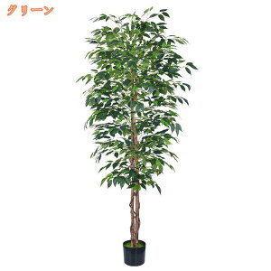 tFCNO[ lHϗtA  ^ KW} A  CeA A  b炸 sv  ItBX z[ ze fR[V ډB JtF Mtg