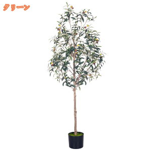 2000~OFFN[| tFCNO[ lHϗtA  ^ Xg`AEMl Ɋy A  CeA A  b炸 sv  ItBX z[ ze f