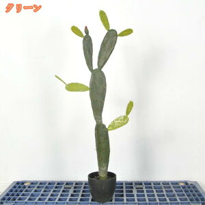 MѐA tFCNO[ V lH  rO ItBX ϗA l炵  CeA _ i` R h b炸 sv  J^ lHϗt  l 