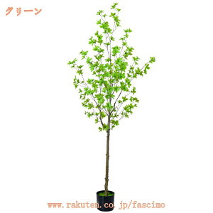 tFCNO[ lHϗtA  ^ hE_ccW A  CeA A  b炸 sv  ItBX z[ ze fR[V ډB JtF M