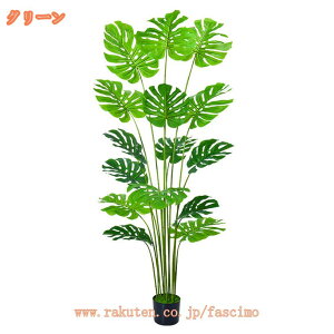 tFCNO[ lHϗtA  ^ Xe A  CeA A  b炸 sv  ItBX z[ ze fR[V ډB JtF Mtg