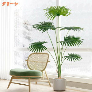 tFCNO[ ϗtA V̖ ^ sv ͂Ȃ QȂ { lHϗtA  A  CeA IV a  L R lH A