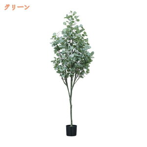 tFCNO[ [J ̂Ȃ ϗt ^ A  ϗtA A  lHϗt CeA 킢 ͂Ȃ  sv ȒP v[g 蕨 j