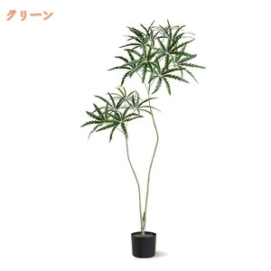 lHϗtA ϗt tFCNO[ a  A ͂Ȃ sv ȒP A hZi K̖ ItBX  CeA ^  傫  lH j v