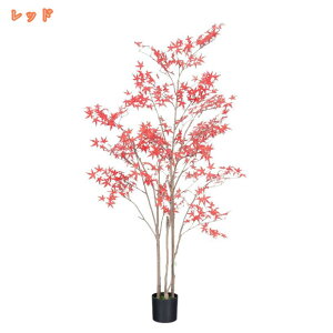 tFCNO[ ̖ JGf̖ ϗt ^ A  ϗtA A  lHϗt CeA 킢 ͂Ȃ  sv ȒP v[g 蕨 j 