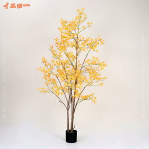 2000~OFFN[| tFCNO[ ̖ JGf̖ ϗt ^ A  ϗtA A  lHϗt CeA 킢 ͂Ȃ  sv ȒP v[g