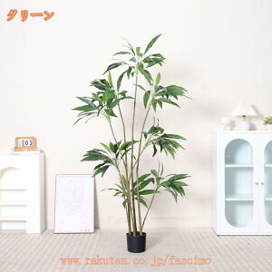 1000~OFFN[| tFCNO[ AV ie ϗt ^ A  ϗtA A  lHϗt CeA 킢 ͂Ȃ  sv ȒP v[g 