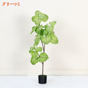 1000~OFFN[| tFCNO[ Ex[^ ϗt ^ A  ϗtA A  lHϗt CeA 킢 ͂Ȃ  sv ȒP v[g 