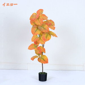 300~OFFN[| lHϗtA Ex[^ ϗtA tFCNO[   z[ ItBX fR[V A[gO[ lH tFCN A CeA  zj 