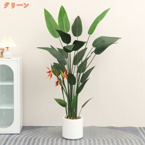 A Xg`A Ɋy ϗt tFCNO[ lHϗtA  J^  傫 CeA  lHA b炸 sv h R j JXj JƏj V