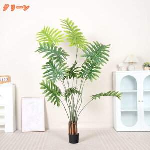 ϗtA tFCNO[ V lH  rO ItBX ϗA l炵  CeA _ i` R h b炸 sv  J^ lHϗt  NY