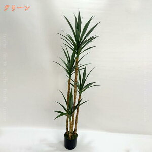 2000~OFFN[| A bJ̖ ϗt tFCNO[ lHϗtA  J^  傫 CeA  lHA b炸 sv h R j JXj JƏj