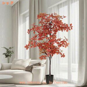 tFCNO[ ̂Ȃ K^̖ ϗt ^ A  ϗtA A  lHϗt CeA 킢 ͂Ȃ  sv ȒP v[g 蕨 j