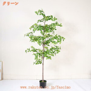 tFCNO[ ̂Ȃ K^̖ ϗt ^ A  ϗtA A  lHϗt CeA 킢 ͂Ȃ  sv ȒP v[g 蕨 j