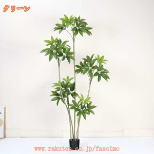 A pL ̂Ȃ ϗt tFCNO[ lHϗtA  J^  傫 CeA  lHA b炸 sv h R j JXj JƏj V 