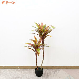 tFCNO[ ϗtA hZi K̖ ^ ȒPb sv ͂Ȃ { lHϗtA  A  CeA IV k lH A hL R 