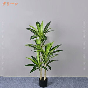 tFCNO[ ϗtA tFCN A lHϗtA ^ hZi K̖ sv ȒPb  rO 傫 { A  ϗA Ύ CeA 