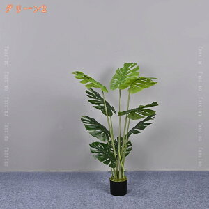 ϗt  tFCNO[ lHϗtA K̖ Xe  ItBX A A 蕨 Mtg v[g j R hL  J^ sv ͂Ȃ X GgX 