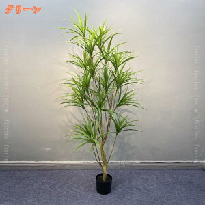 ϗt  tFCNO[ lHϗtA K̖ hZi K̖  ItBX A A 蕨 Mtg v[g j R hL  J^ sv ͂Ȃ X Gg