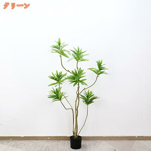 ϗt  tFCNO[ lHϗtA K̖ hZi K̖  ItBX A A 蕨 Mtg v[g j R hL  J^ sv ͂Ȃ X Gg