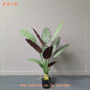 lH Xg`AEMl lHϗtA tFCNO[ ϗt sv tFCNA sv ͂Ȃ  ItBX CeA A    J^ Mtg 