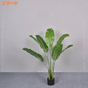 2000~OFFN[| tFCNO[ ϗtA tFCN A lHϗtA ^ Xg`AEMl sv ȒPb  rO 傫 { A  ϗA 