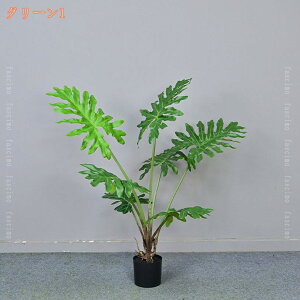 lH Xe NYC lHϗtA tFCNO[ ϗt sv tFCNA sv ͂Ȃ  ItBX CeA A    J^ Mtg 