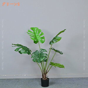 lH Xe NYC lHϗtA tFCNO[ ϗt sv tFCNA sv ͂Ȃ  ItBX CeA A    J^ Mtg 