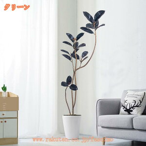 1000~OFFN[| tFCNO[ S̖ ^  J^ sv ͂Ȃ N₩ȐF AȎ rO ItBX c X ze Q  CeA Vz VXj JX