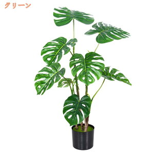 Xe tFCNO[  JXj ϗtA Ύ A h GgX X tFCN A ^ CeA 傫 lHϗtA Vzj v[g 蕨 sv