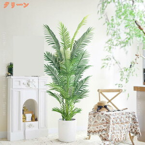 AJV tFCNO[  JXj ϗtA Ύ A h GgX X tFCN A ^ CeA 傫 lHϗtA Vzj v[g 蕨 sv