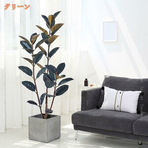 1000~OFFN[| S̖ tFCNO[  JXj ϗtA Ύ A h GgX X tFCN A ^ CeA 傫 lHϗtA Vzj v[g 