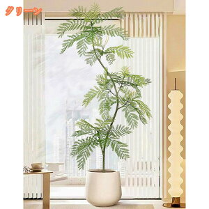 WJ_̖ tFCNO[ lHϗtA ^   zj v[g  CeA  sv A { Ύ tFCNA sv 