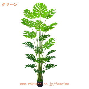 tFCNO[ ^ ϗtA tFCN A    i` A S  J^ ͂Ȃ sv j Vz JX J a K K Xe Ύ  r