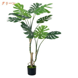 tFCNO[ ^ ϗtA tFCN A    i` A S  J^ ͂Ȃ sv j Vz JX J a K K Xe Ύ  r