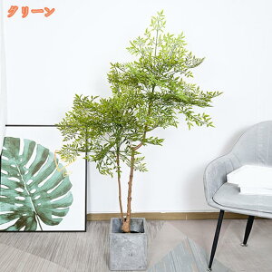 2000~OFFN[| lH ϗtA tFCNO[ V| ou[ ^  ȒP CeA O tFCNA sv ͂Ȃ ~͐A Vzj ̓ ̓ Mtg 