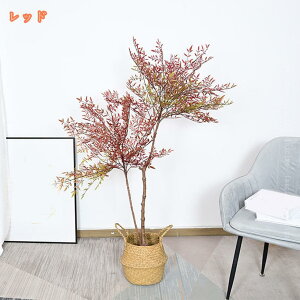 tFCNO[ V| ou[ tFCNA  lH ϗtA hL rO ItBX Q     Mtg v[g ؔ Vv lHϗt CeAO[