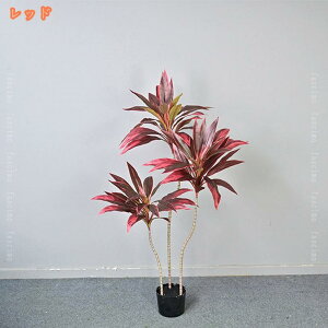 2000~OFFN[| tFCNO[ ^  ϗtA  Ύ lH hZi rO lHϗtA p[e[V i` JXj A CeA  j JX