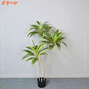 2000~OFFN[| tFCNO[ ^  ϗtA  Ύ lH hZi rO lHϗtA p[e[V i` JXj A CeA  j JX