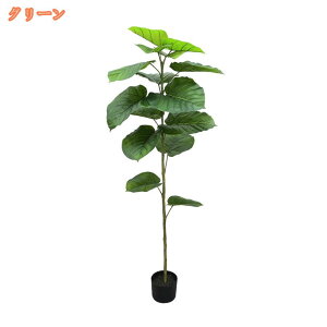 tFCNO[ Ex[^ tFCNA  lH ϗtA  hL rO ItBX Q    Mtg v[g ؔ Vv lHϗt CeAO[ 