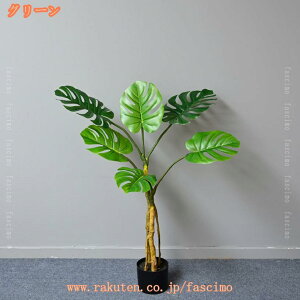 lH Xe lHϗtA tFCNO[ ϗt sv tFCNA sv ͂Ȃ  ItBX CeA A    J^ Mtg ze [