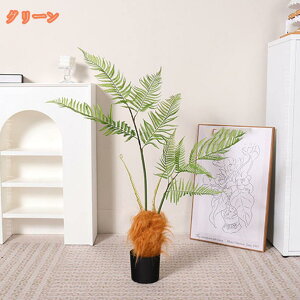 tFCNO[ A V_A lHϗtA Ύ  CeA   rO ItBX ^ A ϗA sv ͂Ȃ ~͐A 傫 { ȒPb 