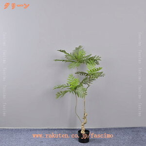 lH ϗtA tFCNO[ WJ_̖ ^  ȒP CeA O tFCNA sv ͂Ȃ ~͐A Vzj ̓ ̓ Mtg Ղ 蕨 K