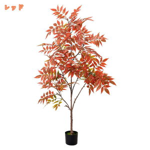 2000~OFFN[| lH ϗtA tFCNO[ pL ^  ȒP CeA O tFCNA sv ͂Ȃ ~͐A Vzj ̓ ̓ Mtg Ղ 