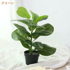 777~OFFN[| ͂Ȃ ϗtA Ex[^ ^ tFCNO[ lHϗtA  sv CeA lH  킢  J^ ItBX  R h ϗtA