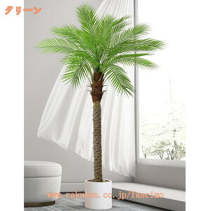 lHϗtA tFCNO[ V̖ CeA ϗA    J^ lHA ϗt N₩ȐF AȎ R h  킢 傫 b炸 s