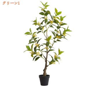 ϗtA jԂ̖ b炸 tFCNO[ lHϗtA CeA   R ϗA sv lHA lHϗt A 킢 ItBX  z[  L