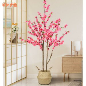 1000~OFFN[| lHϗtA tFCNO[ ̖ CeA ϗA    J^ lHA ϗt N₩ȐF AȎ R h  킢 傫 b