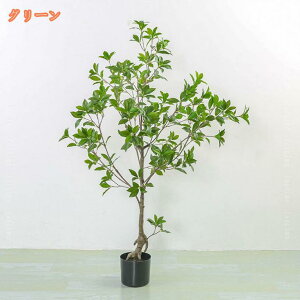 2000~OFFN[| tFCNO[ A n AZr lHϗtA Ύ  CeA   rO ItBX ^ A ϗA sv ͂Ȃ ~͐A 傫 {